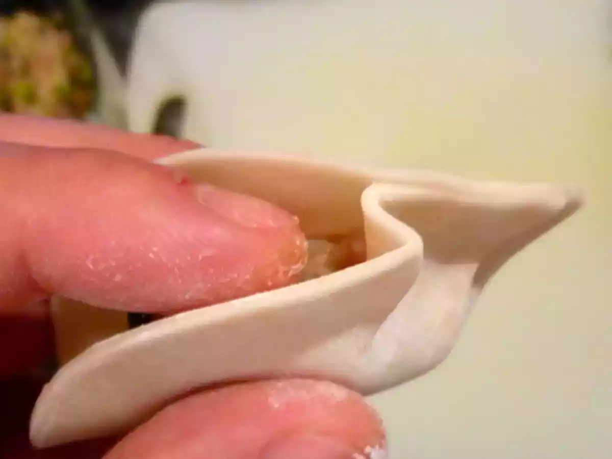 Gyozas ou Raviolis Japonais - photo 5