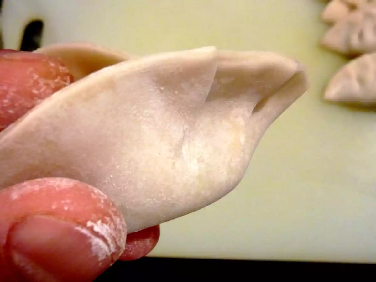 Gyozas ou Raviolis Japonais - photo 6