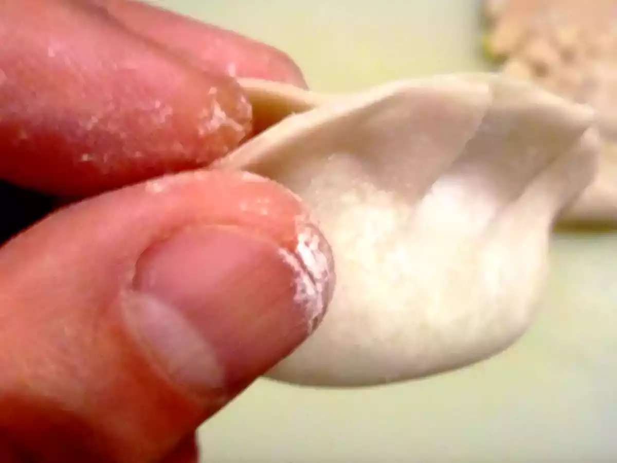 Gyozas ou Raviolis Japonais - photo 7