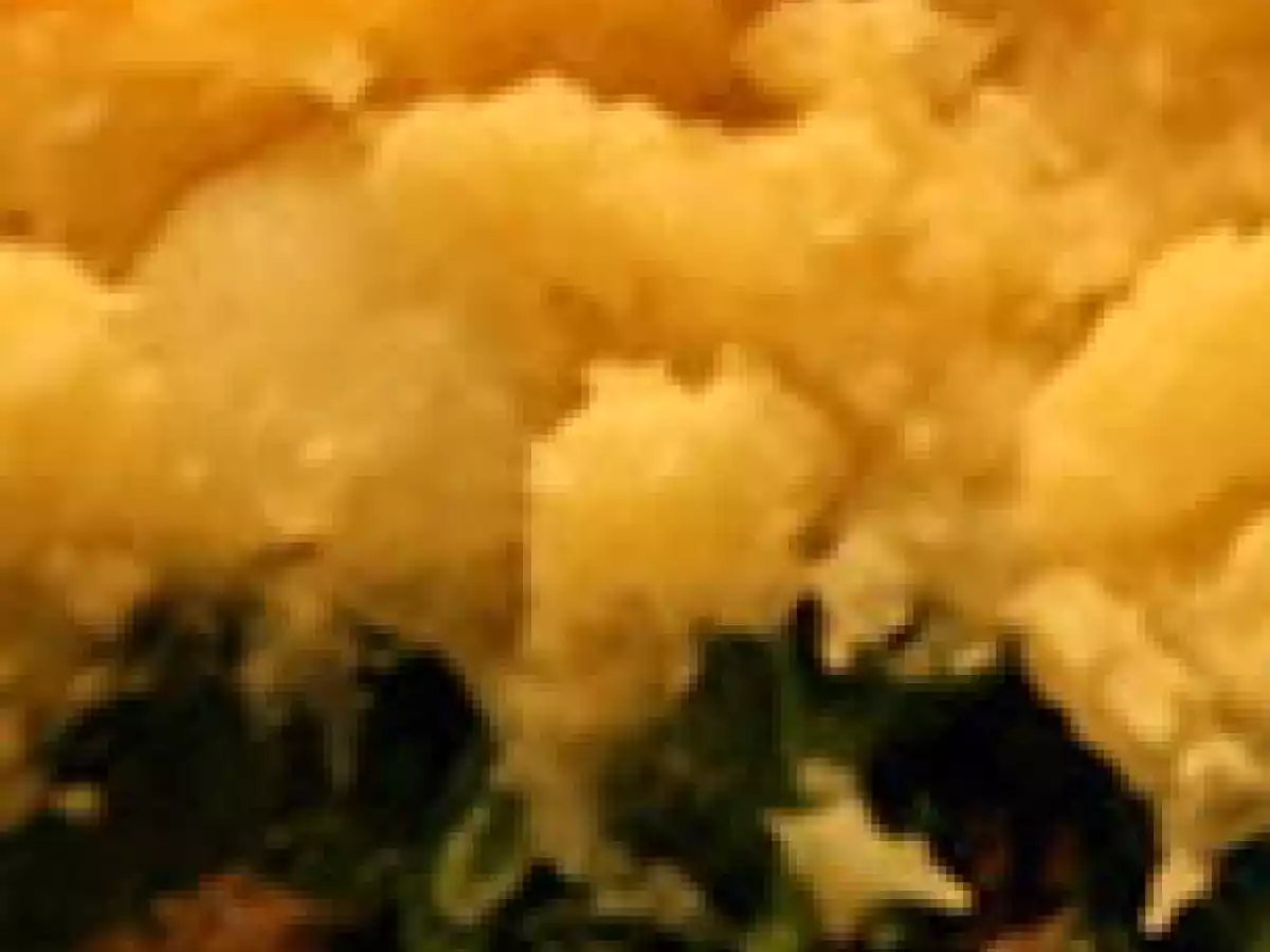 Hachis parmentier aux épinards