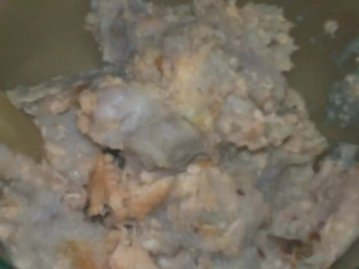 Hachis parmentier créole - photo 2