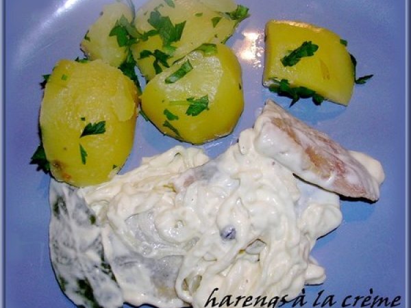Harengs doux à la crème : recette polonaise