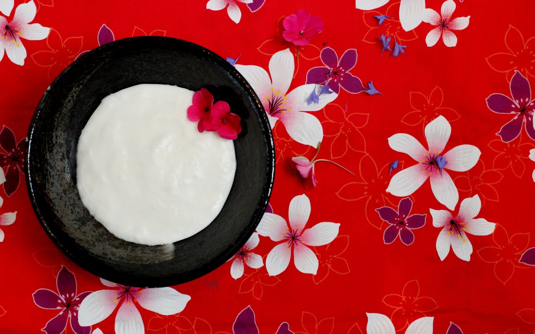 Haupia ou pudding hawaien goût coco Recette Ptitchef