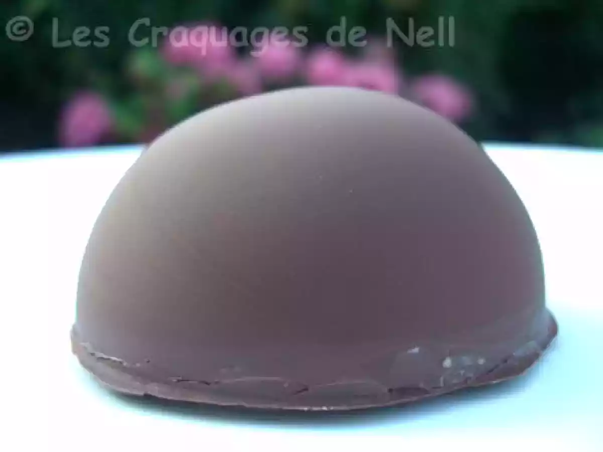 Igloo chocolaté et son lit meringué