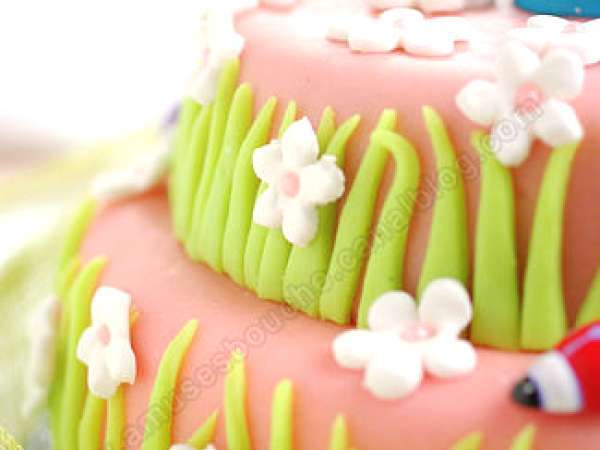 Jardin Feerique Recette Ptitchef