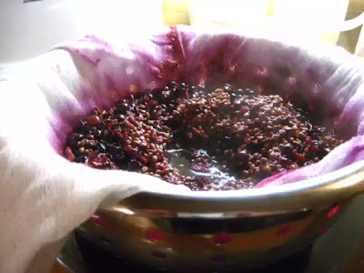 Jus de raisins bleus maison - photo 4