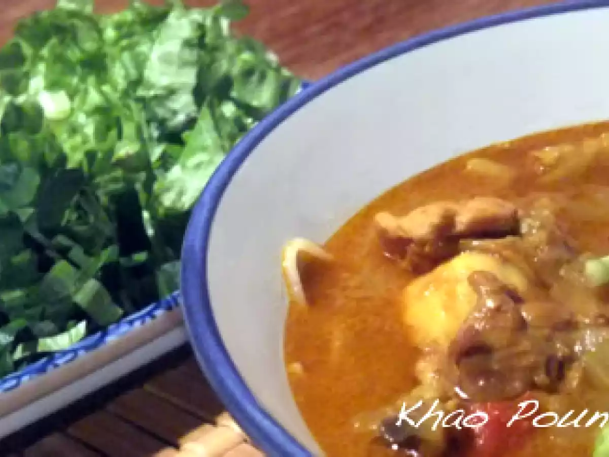 Khao poun cari - photo 2