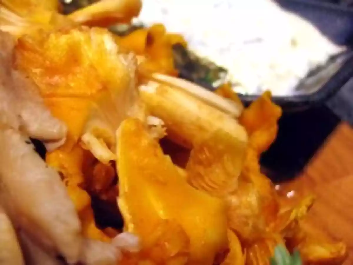 L'automne arrive : salade d'orechiette aux champignons, chicorée rouge et gorgonzola - photo 3