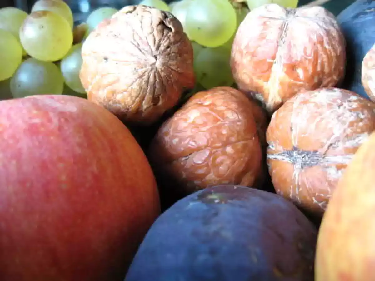 L'équinoxe d'automne : fête et petits plats adaptés