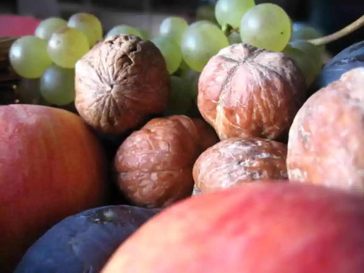 L'équinoxe d'automne : fête et petits plats adaptés - photo 3