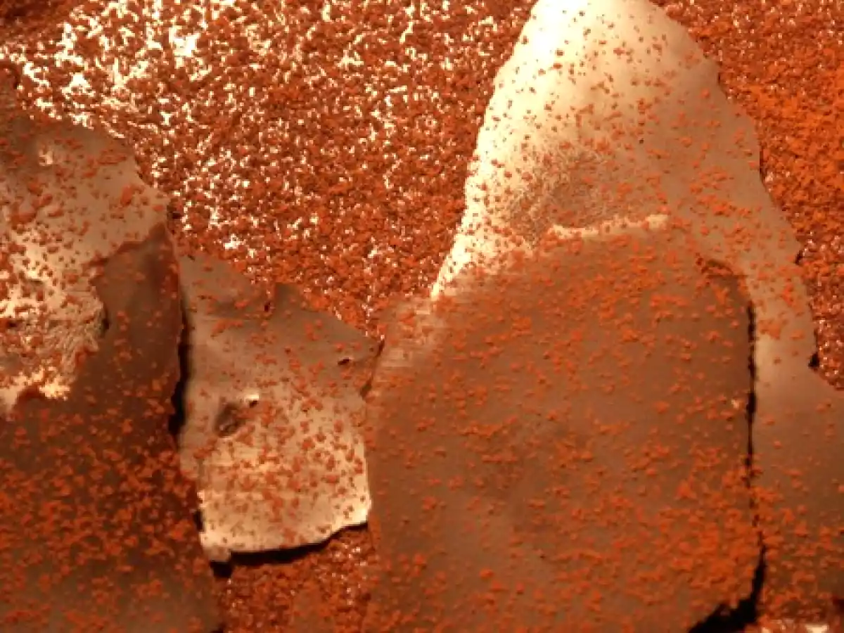 La belle tarte de Felder au chocolat - photo 2