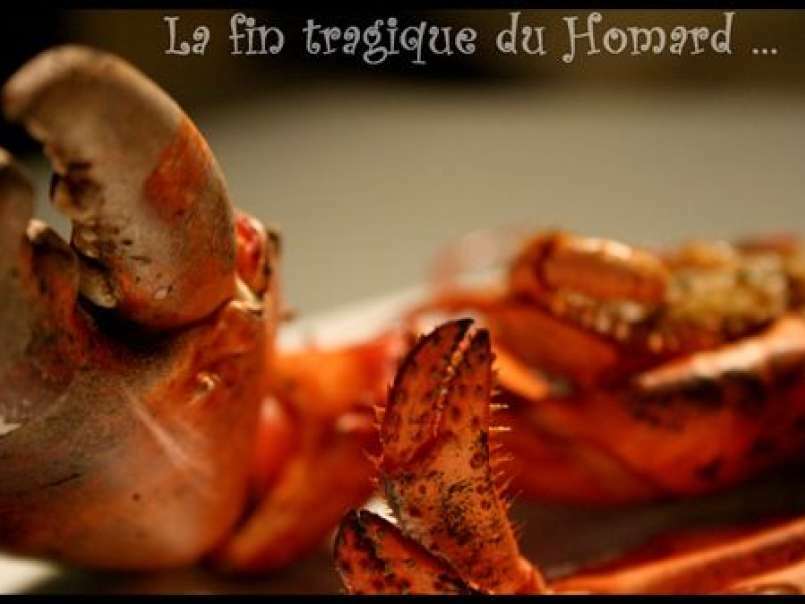 La fin tragique d'un Homard: rôti au four, beurre citronné et fenouil confit, photo 4