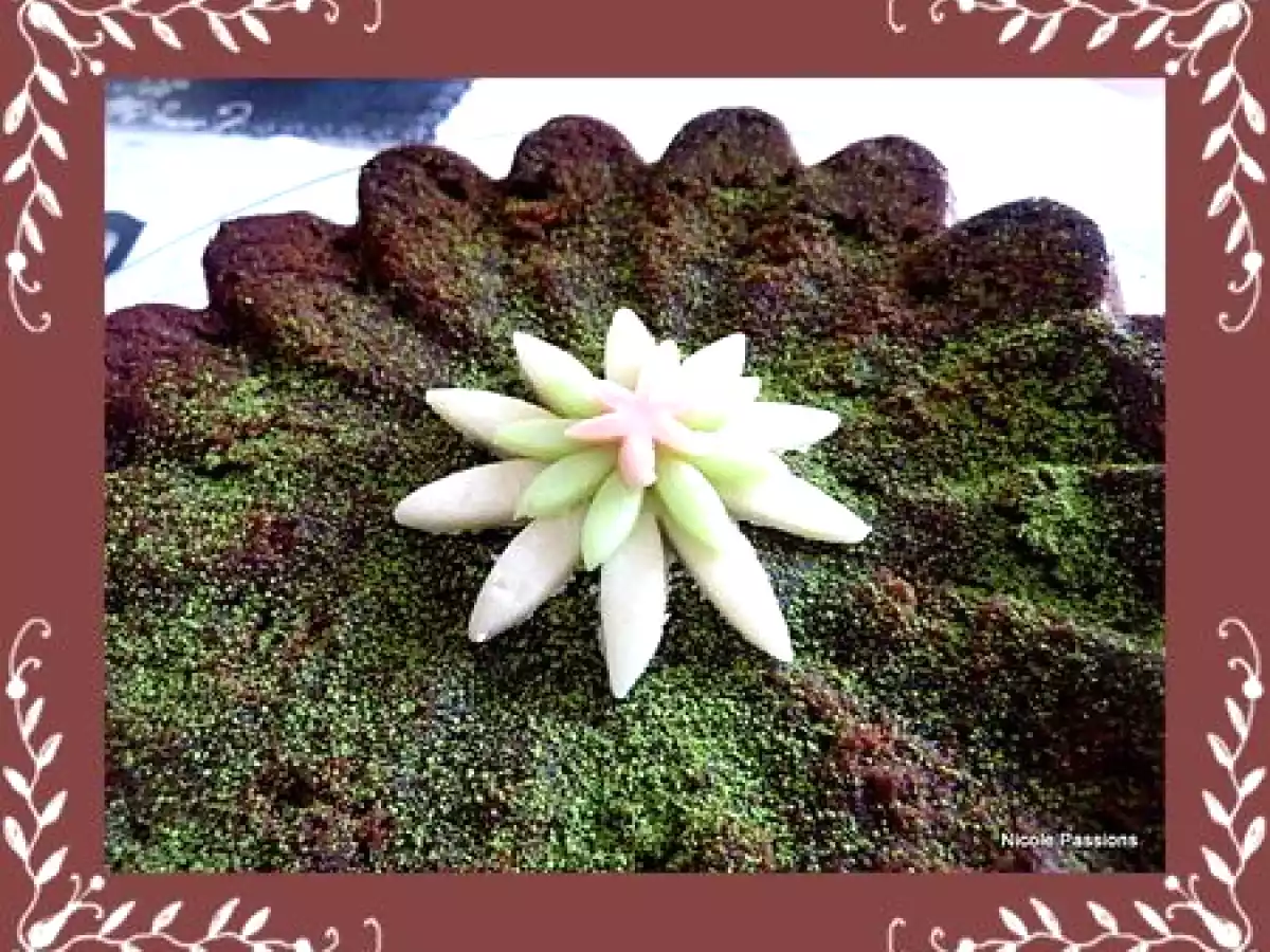 La marguerite sur le gâteau. - photo 2