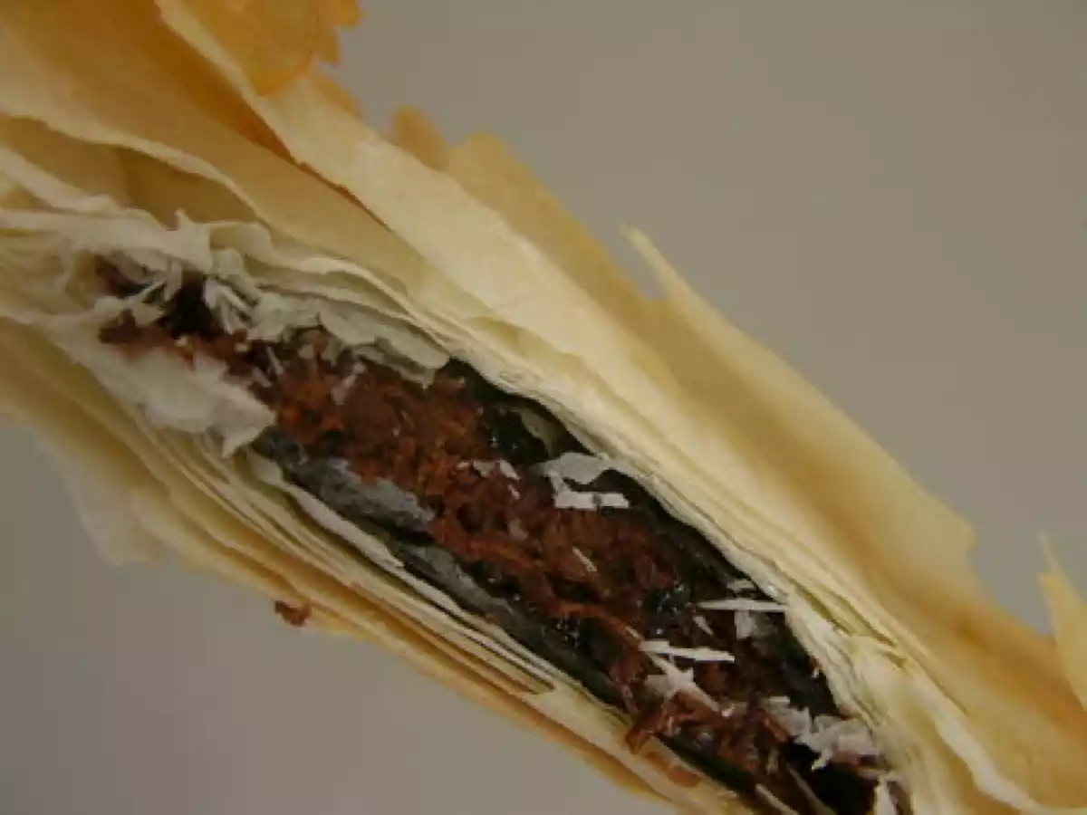 La pâte à filo en chaussons, aux pommes et nutella - photo 2