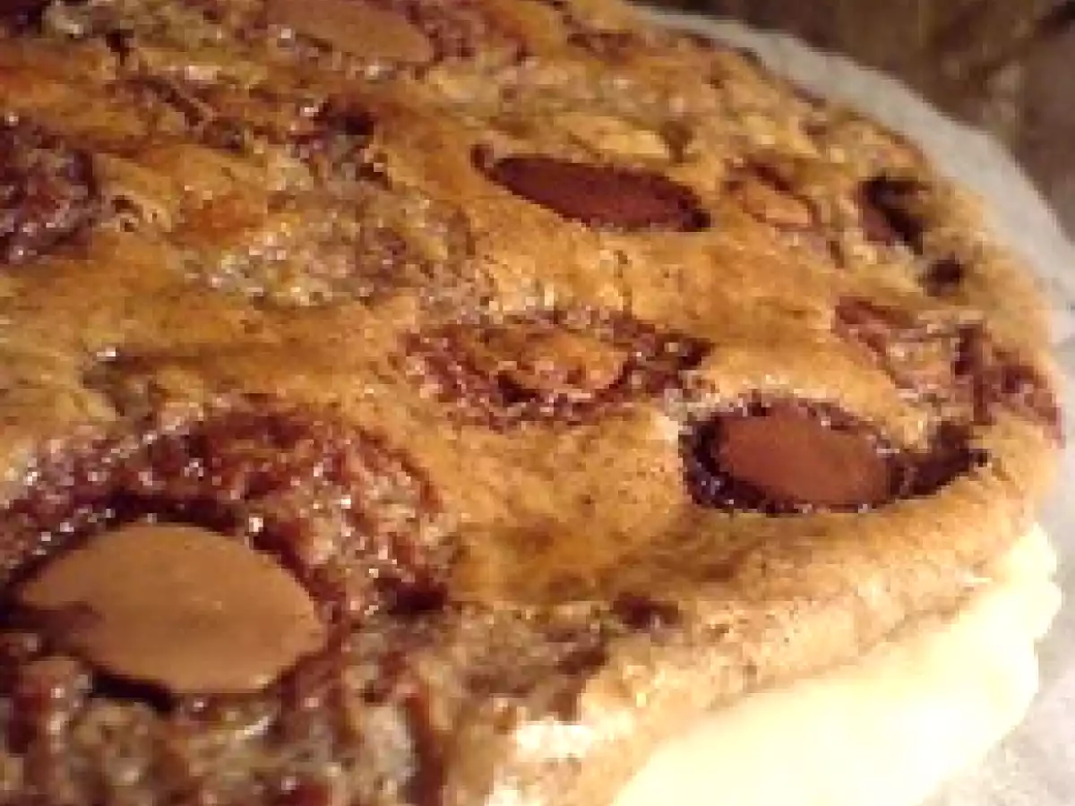 La Pizza Qui Rend Dingo... Crème de Noisettes Et Multi Chocolat... - photo 2