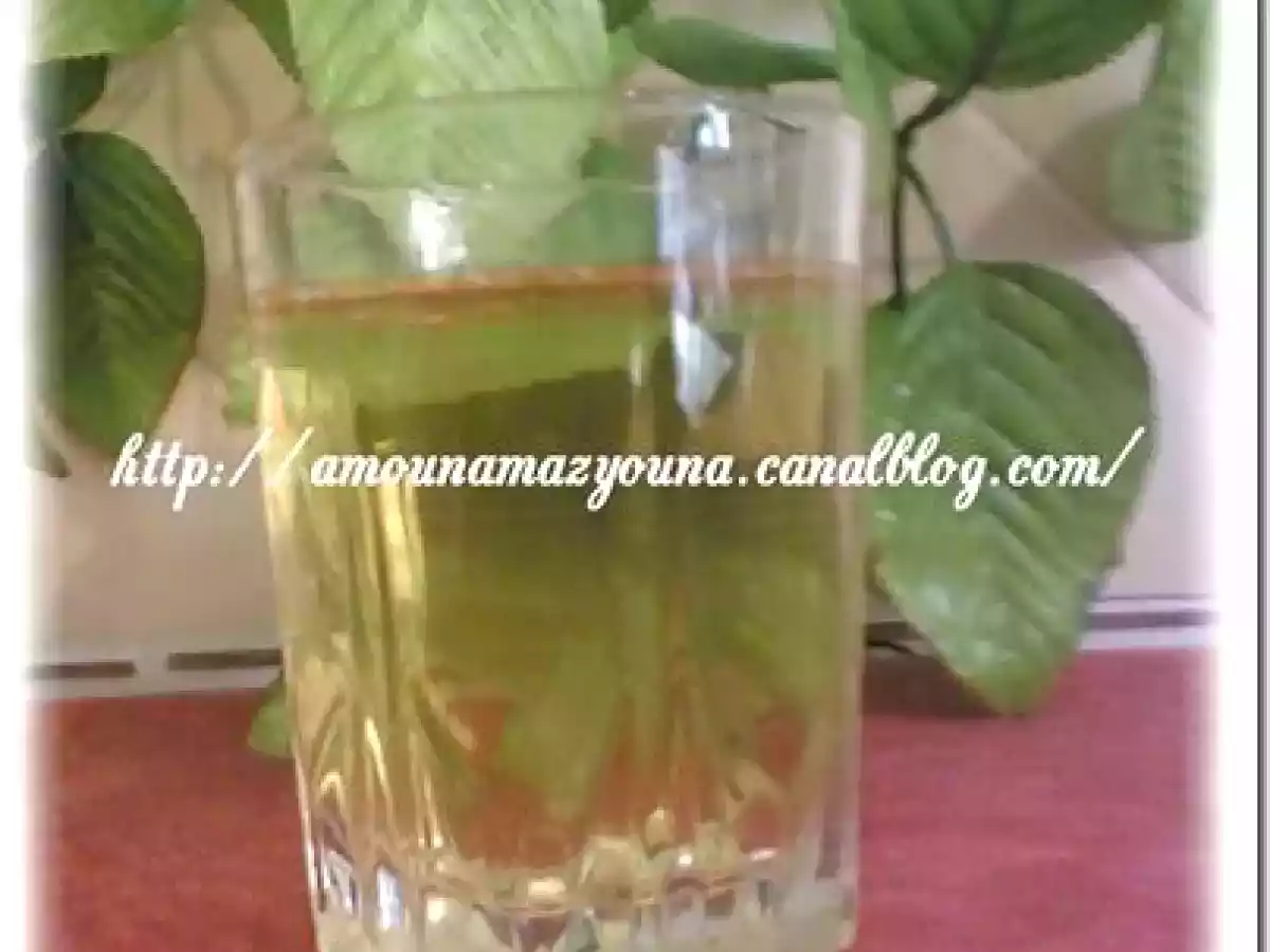 La sauge pour un ventre plat - photo 2