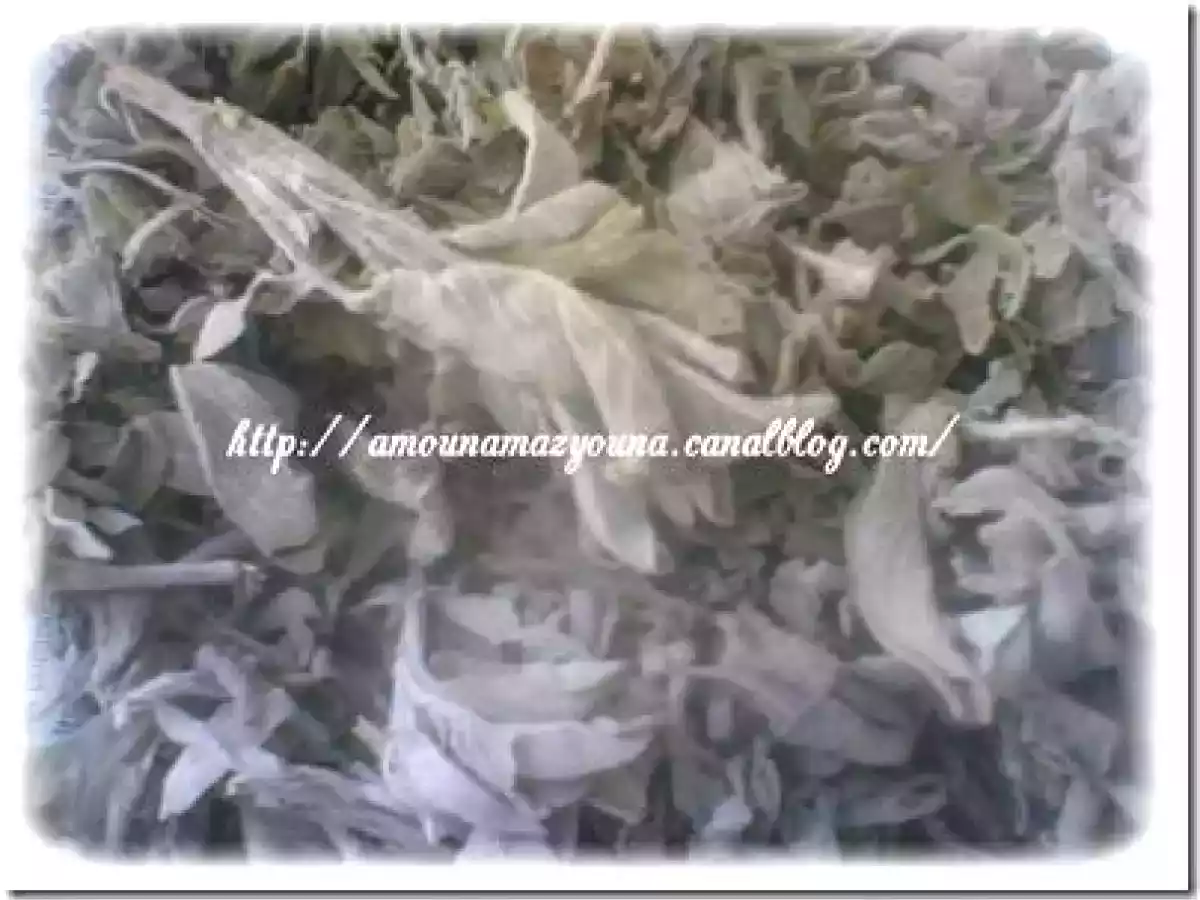 La sauge pour un ventre plat - photo 4