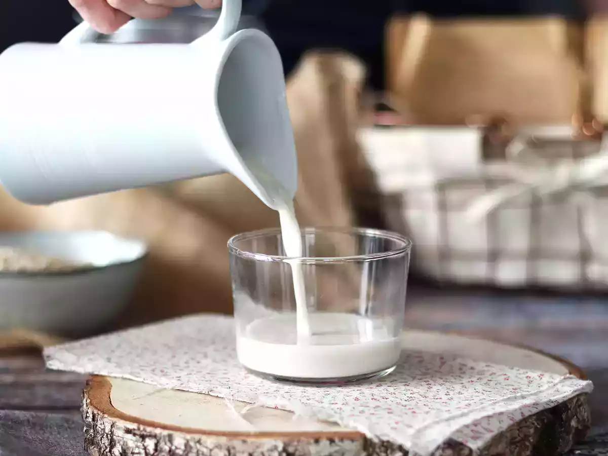 Lait d'avoine fait maison (facile, rapide et économique! ) - photo 2