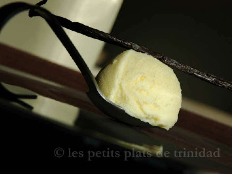 Lait glacé à la vanille, photo 2