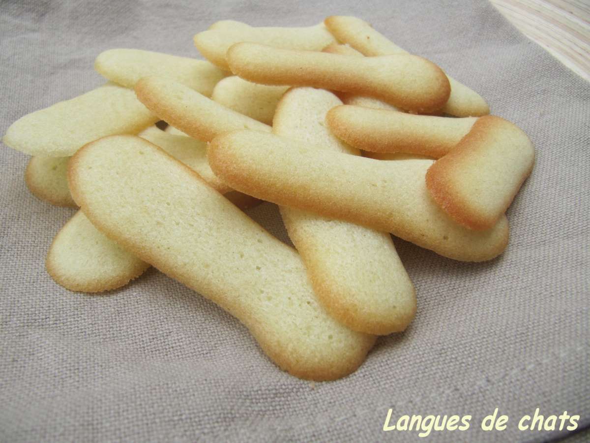 Recette de langues de chat croustillantes et délicieuses