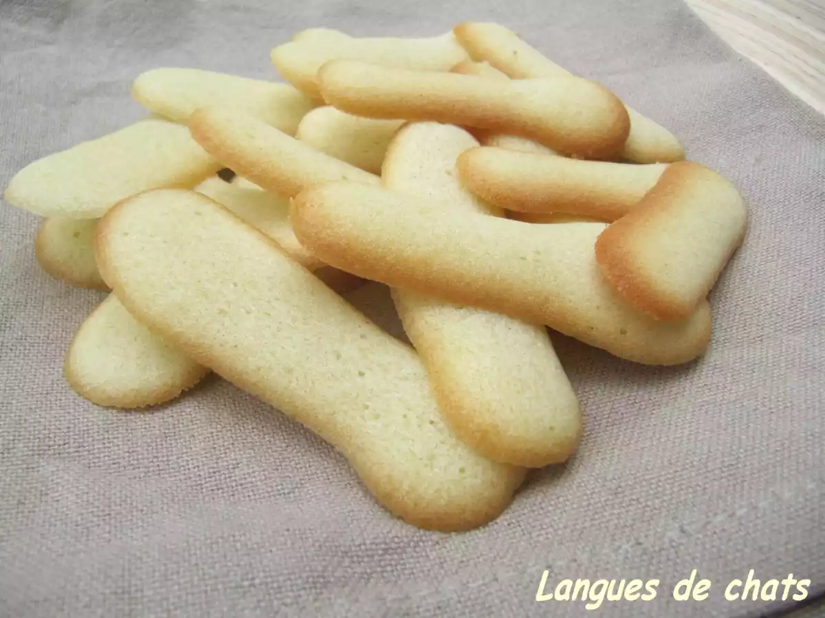 Langues de chats maison