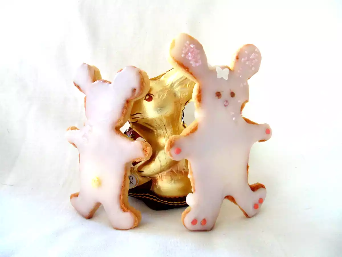 Lapin de Pâques en biscuit - photo 2