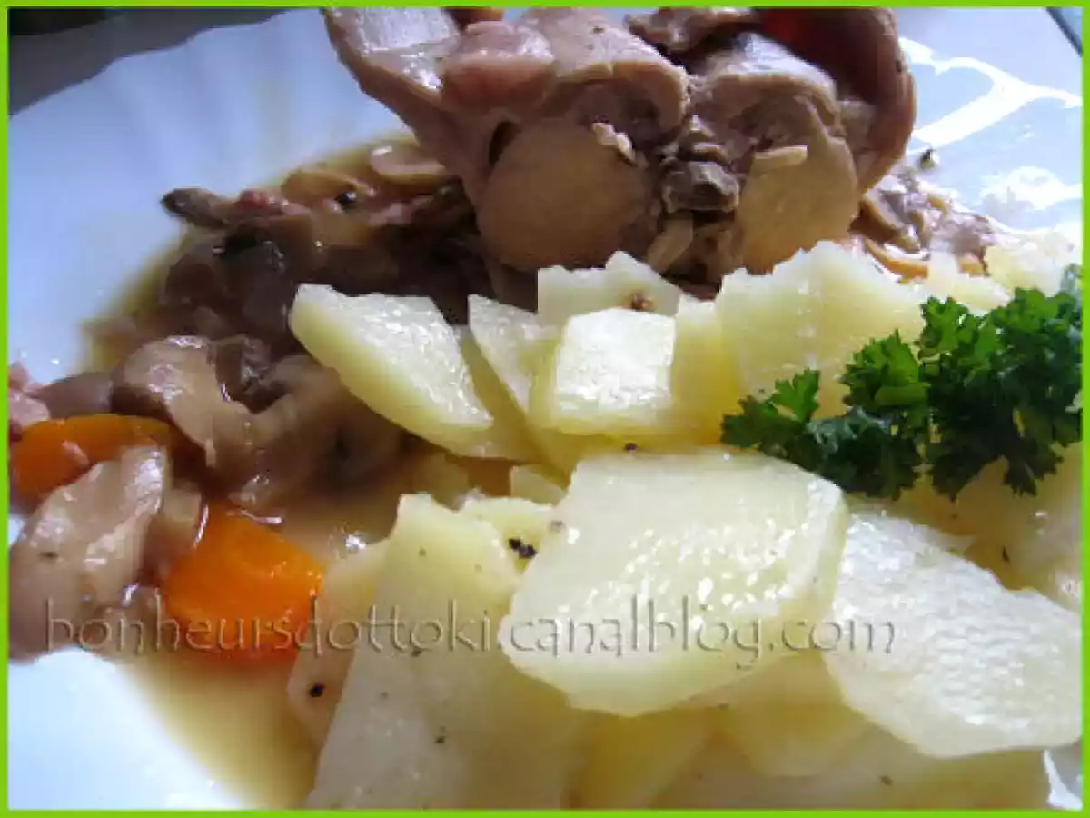 Lapin en gibelotte en cocotte minute