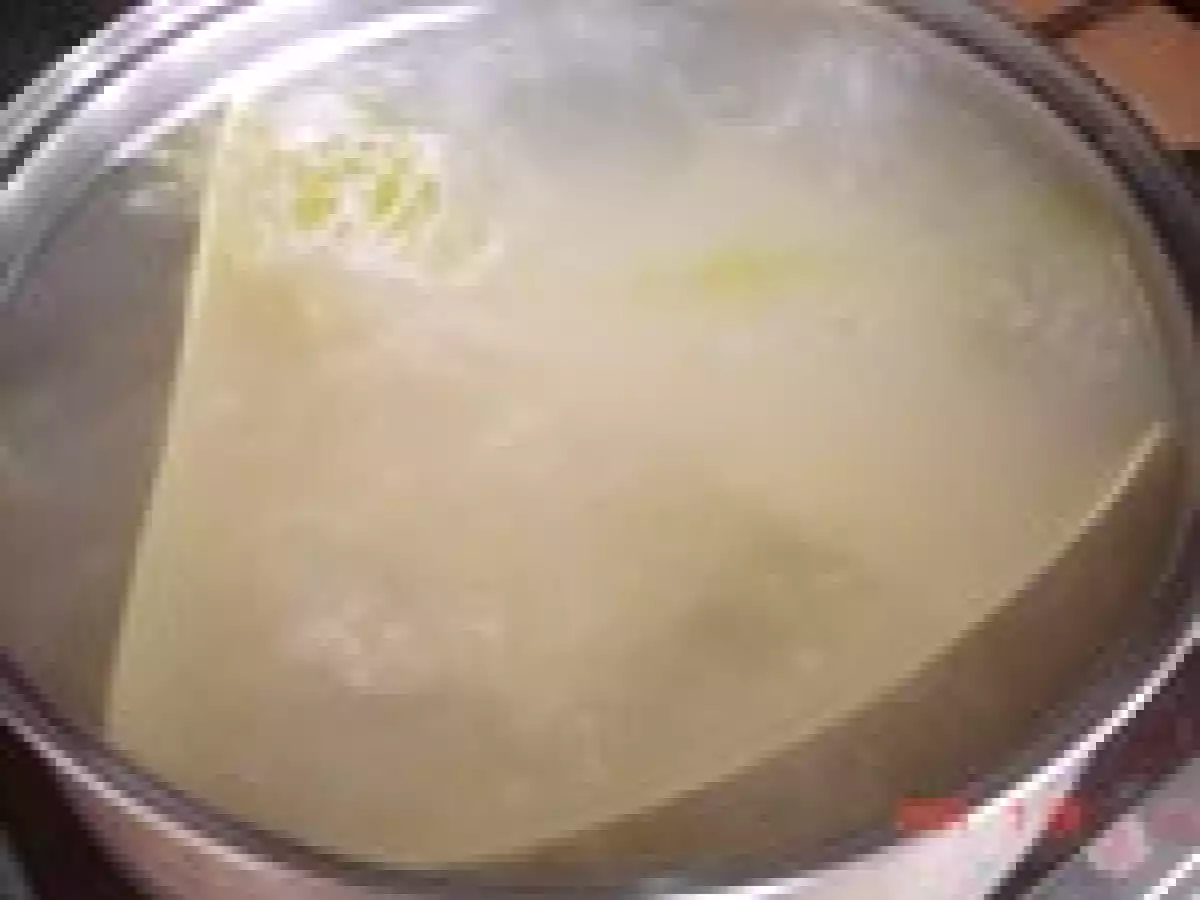 Lasagne aux aubergines, tomate crème - photo 3