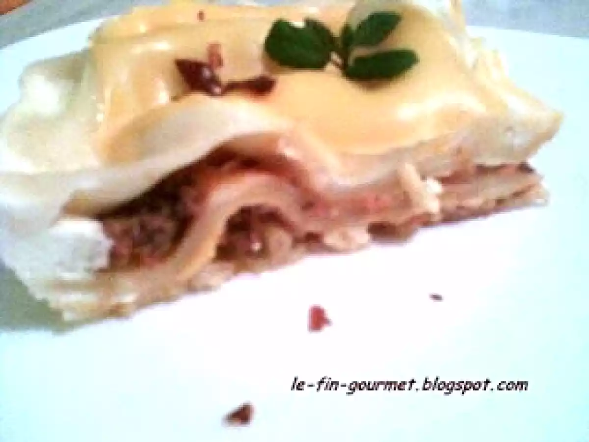 Lasagnes à la viande hachée et crème fraîche. - photo 2