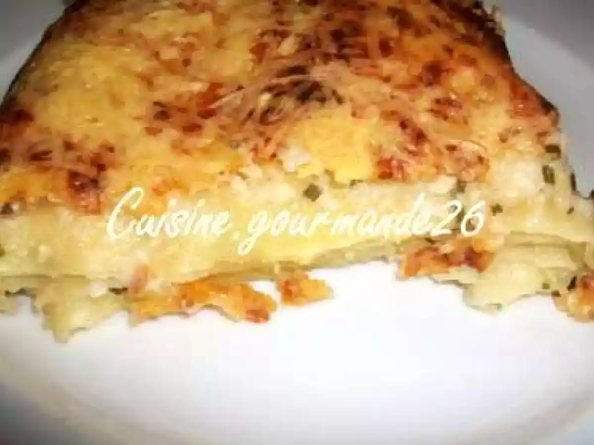 Lasagnes au saumon et à la ciboulette - photo 2