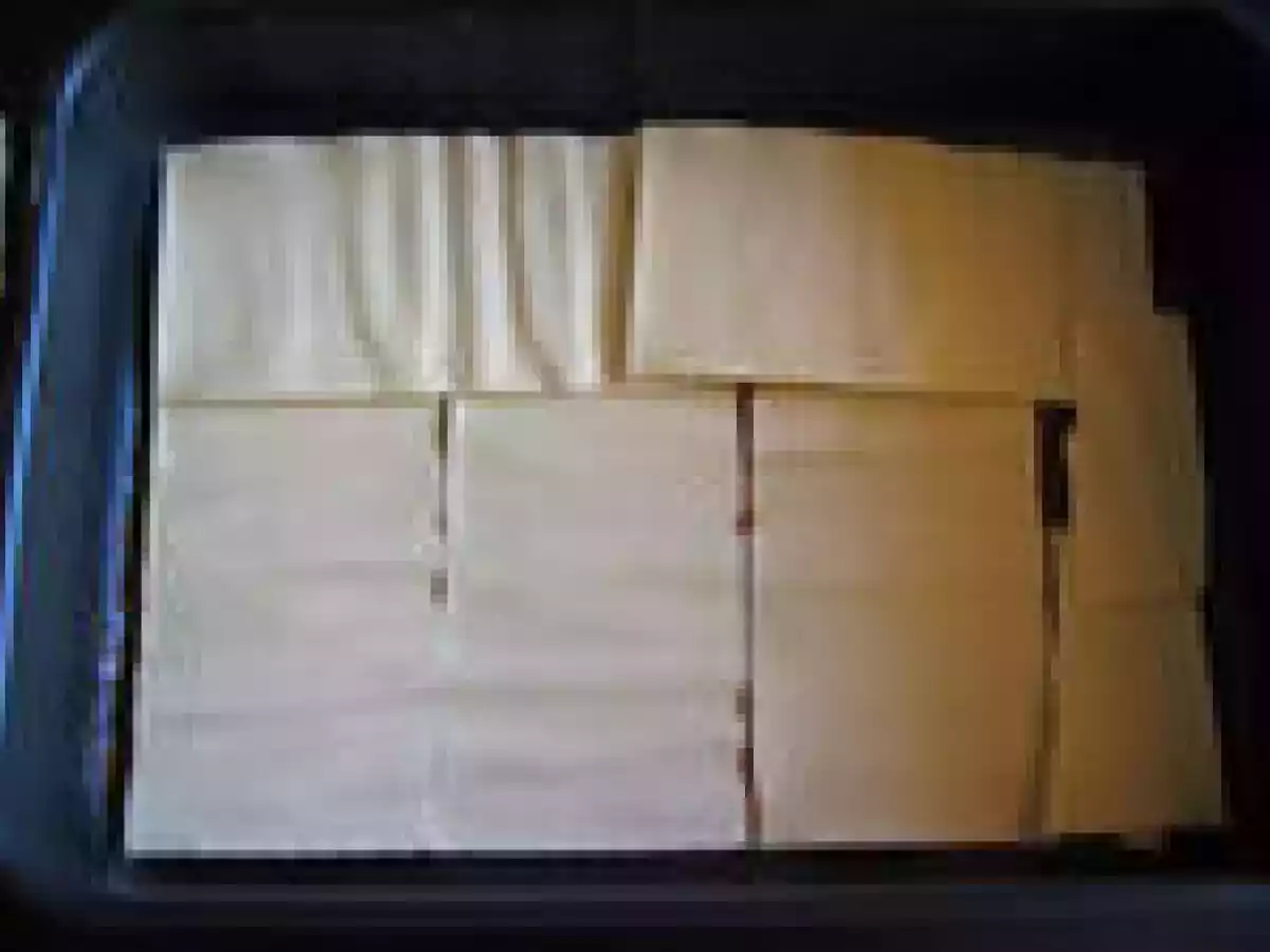 Lasagnes bolognaises à la brousse - photo 2