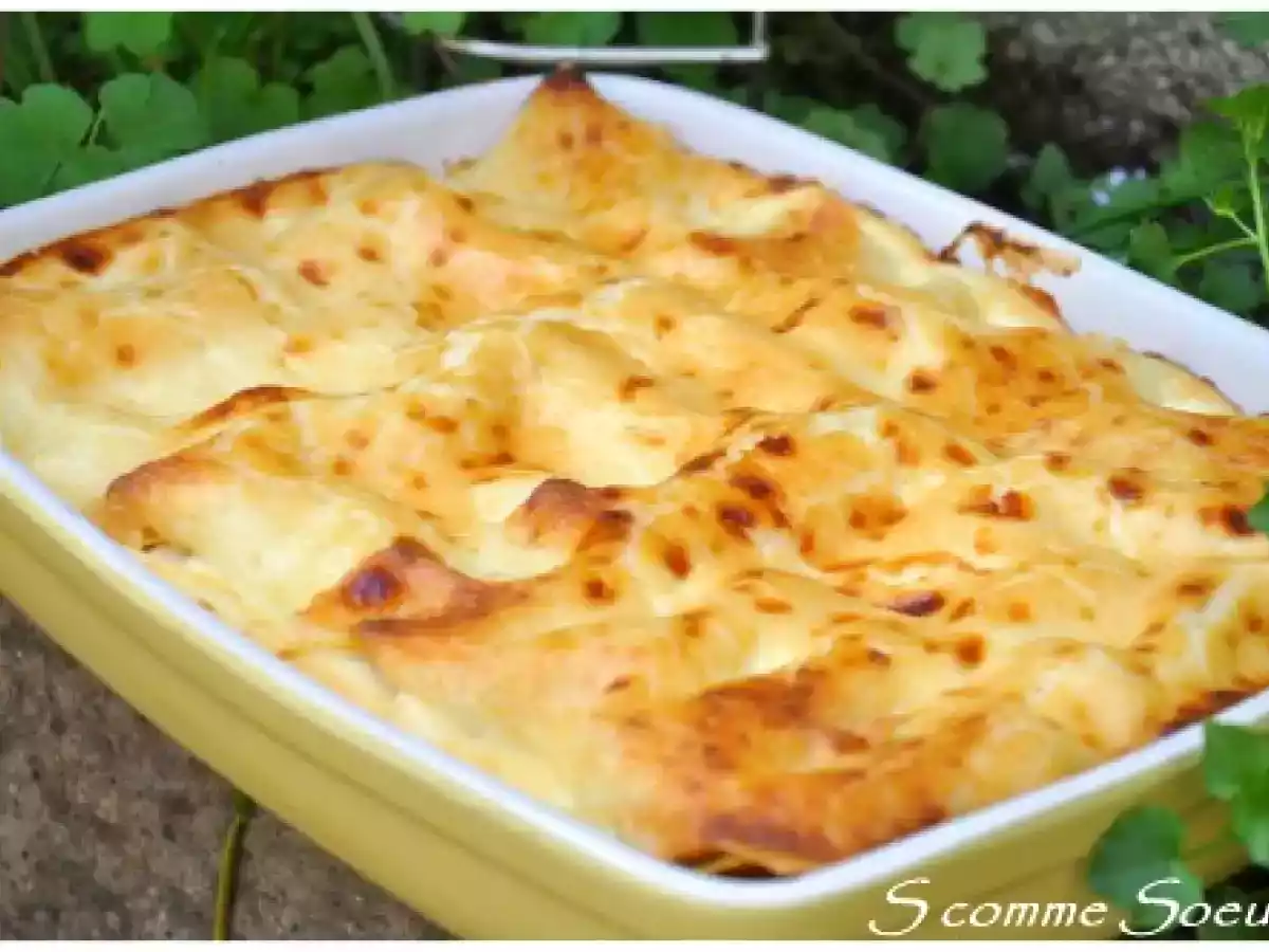 Lasagnes Saumon, oseille et crème de comté pour le Challenge Comté