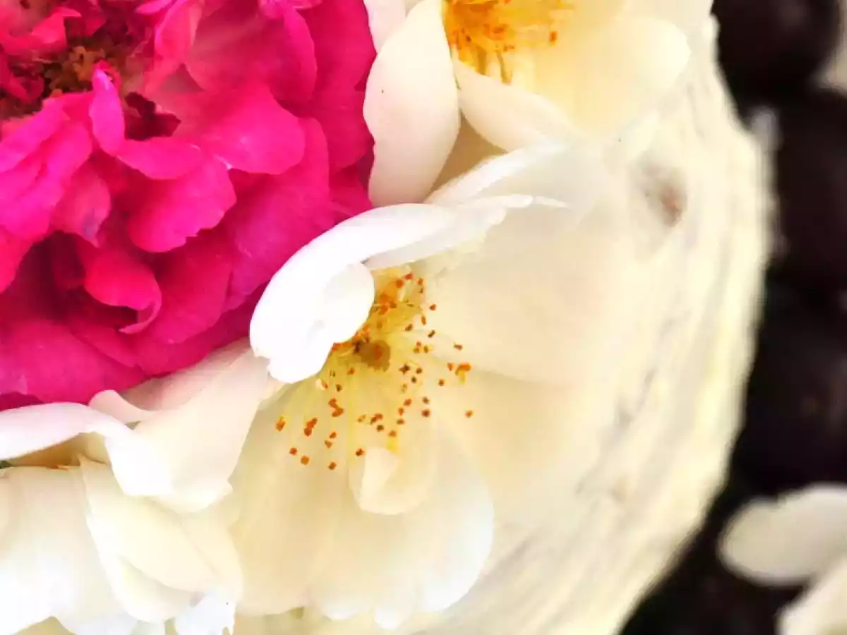 Layer cake aux Cerises - photo 5