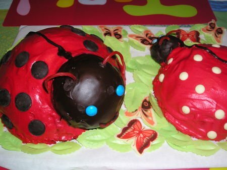 Le Gateau Coccinelle Recette Ptitchef