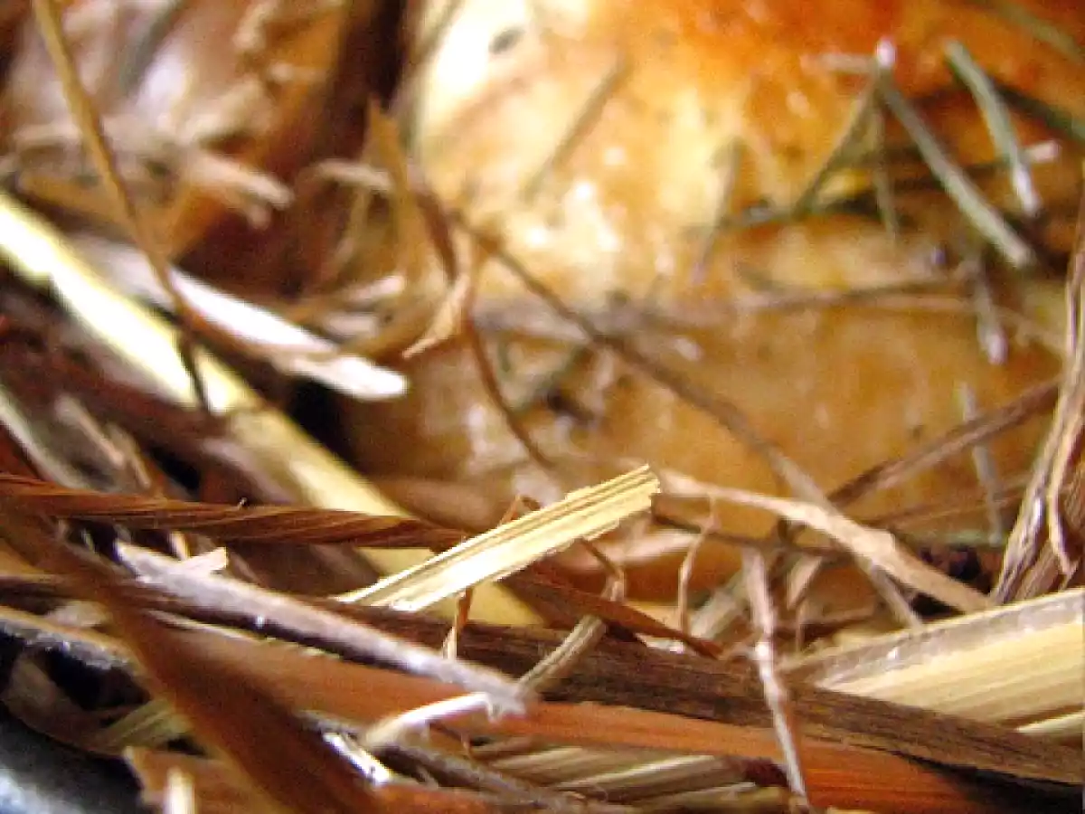 Le poulet à la paille et les divins légumes du potager d'Alain