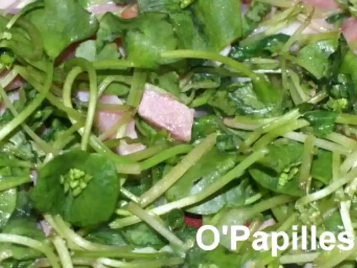 Le pourpier cuit au goût citronné