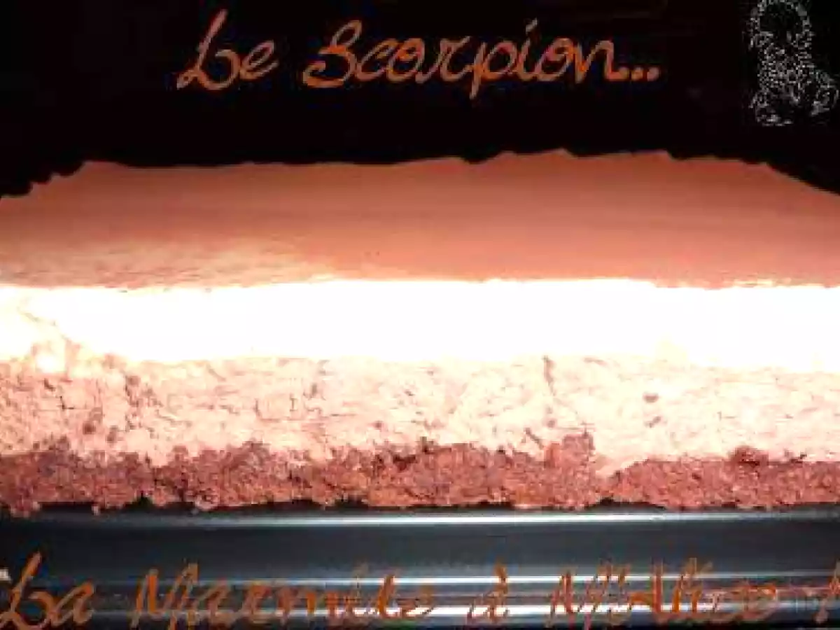 Le Scorpion (gâteau chocolat noir et chocolat blanc au tahiné)