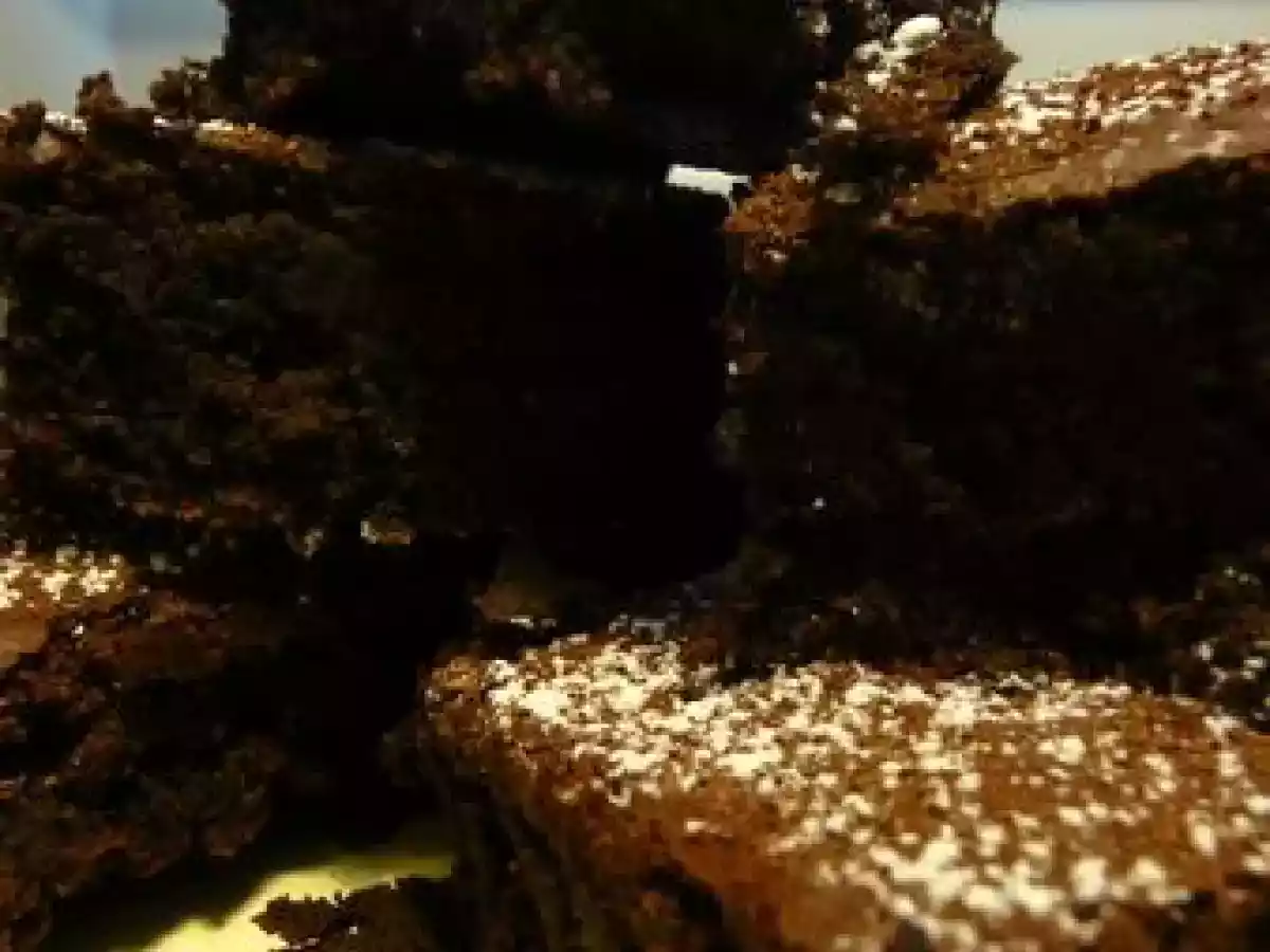 Le surprenant mariage du chocolat et de la courgette - photo 4