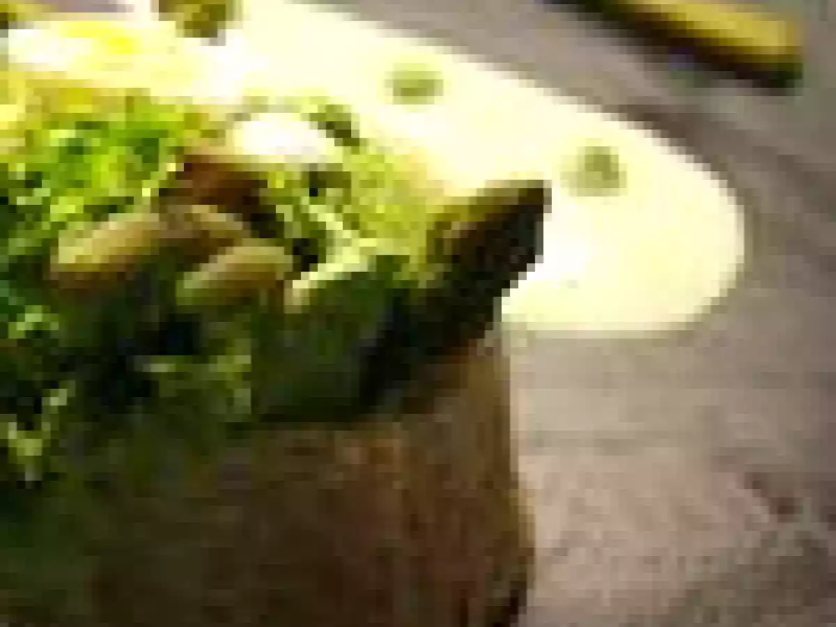 Légumes verts en coque de pain, espuma de mayonnaise légère - photo 5