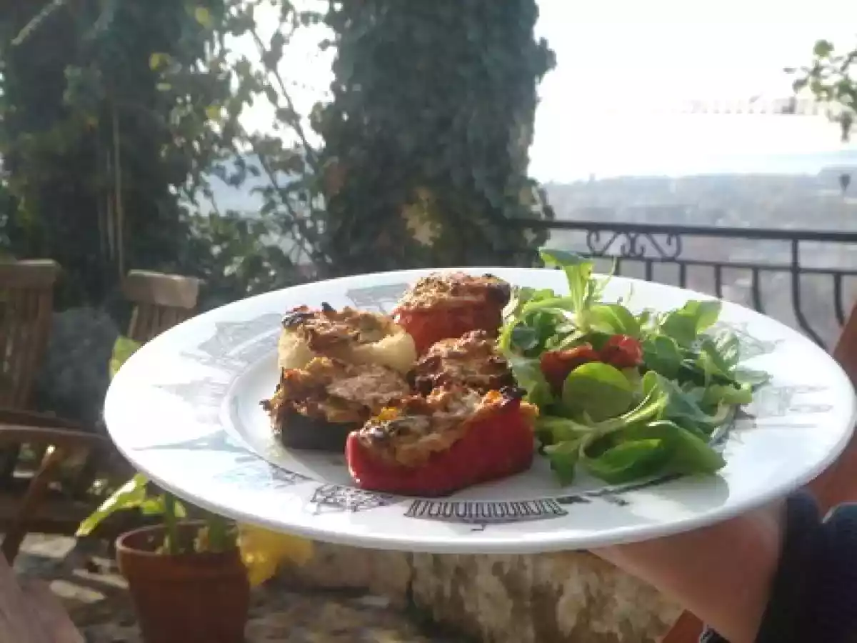 Les farcis Niçois de ma jumelle, les vrais ! - photo 2