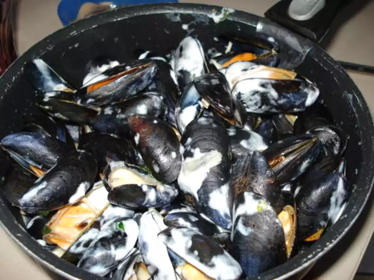 Les Moules de Bouchot du CROTOY