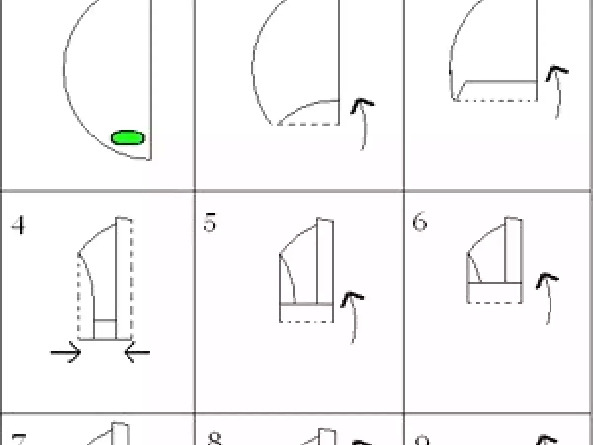 LES NEMS... VIVE LE NOUVEL AN CHINOIS !! - photo 3