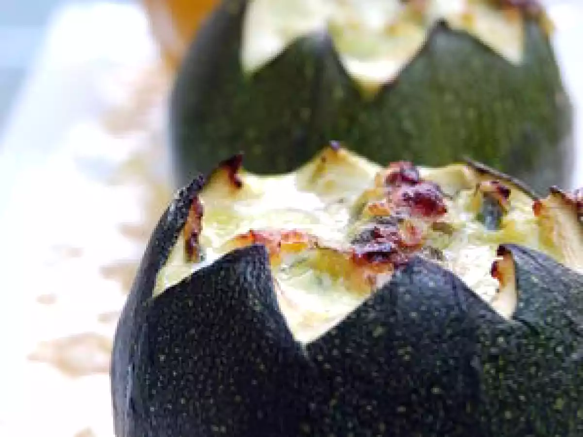 Les petits farcis végétariens (d'Axelle Laffont)