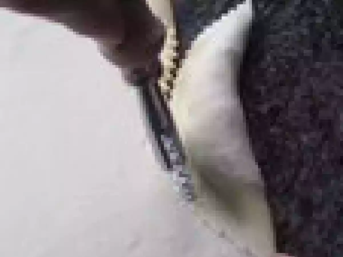 Les plus jolies CORNES DE GAZELLE du royaume - Kaab el ghzal de Tetouan - photo 7