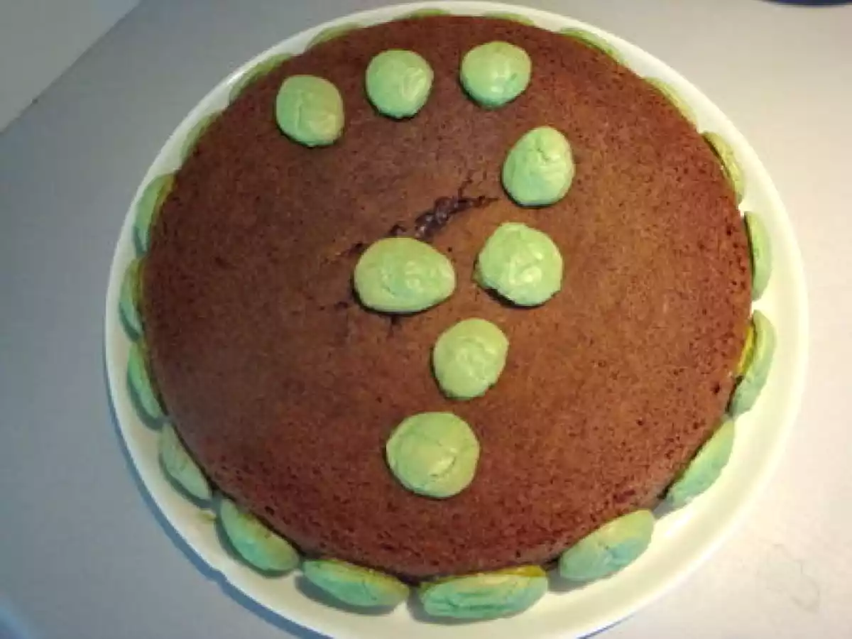 Leyla 7 Ans ... Un gâteau au chocolat ... déco macarons !