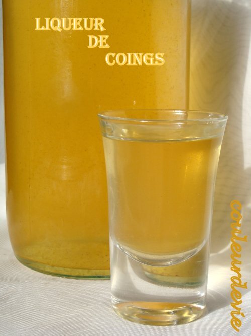 Liqueur de coings Recette Ptitchef