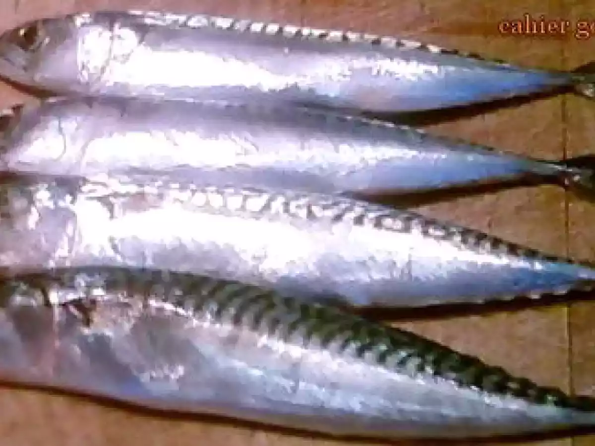 Lisette obtient les faveurs du navet nouveau et de son ragoût de légumes - photo 2