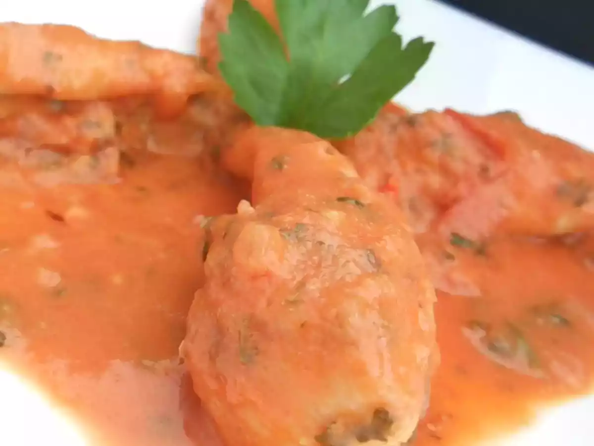 LOTTE À L’ARMORICAINE ÉCONOMIQUE