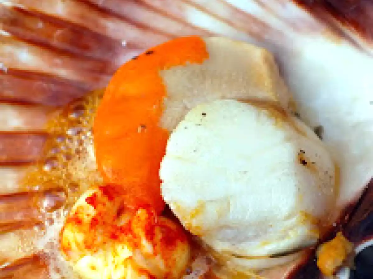 Lotte et Saint Jacques au programme du grille - photo 2