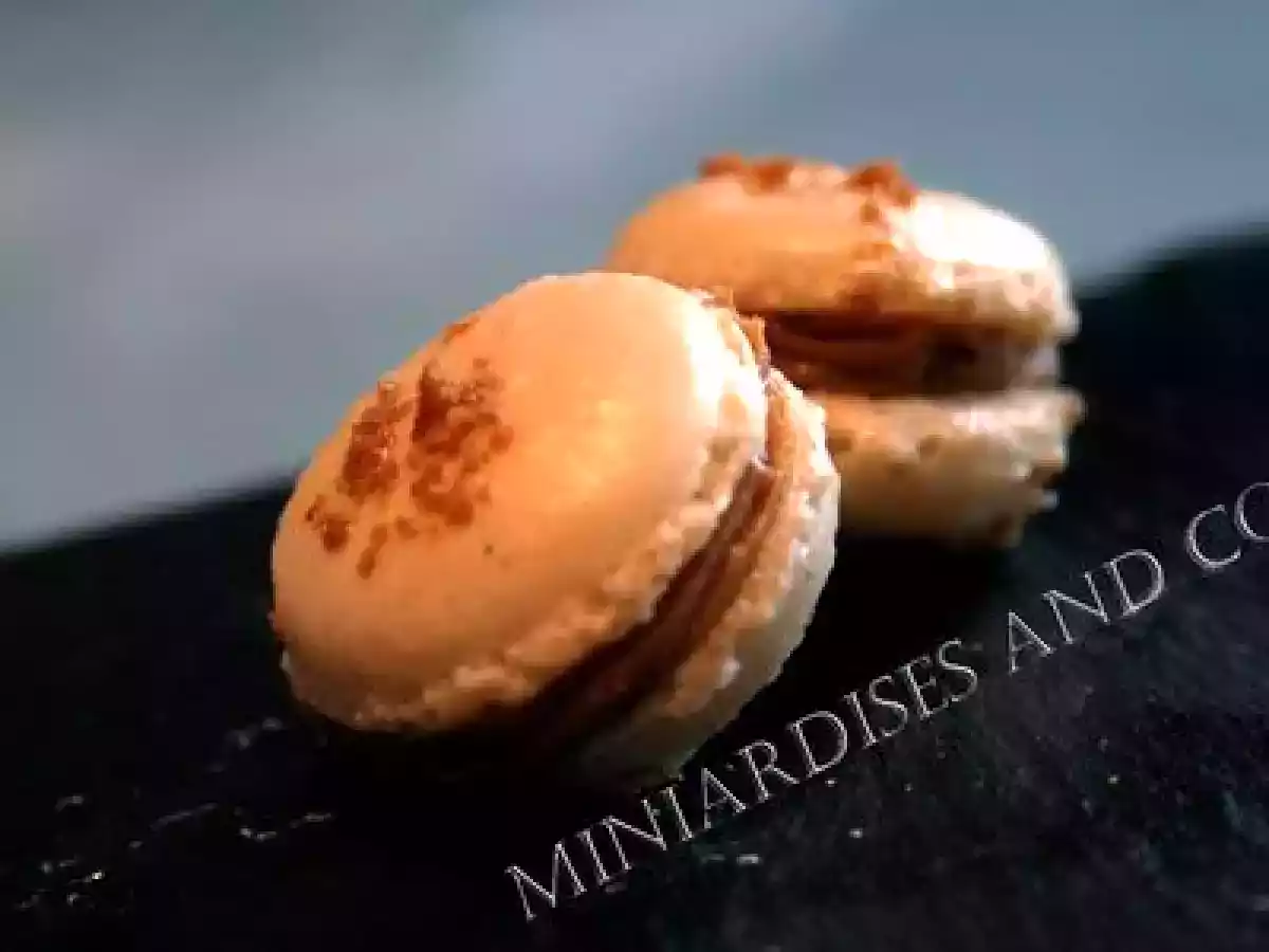 MACARON AUX SPECULOOS